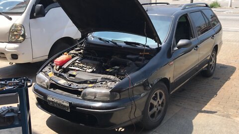 VALE A PENA TER UM MAREA ? PREPARANDO ELE PRA VIAJAR 1200KM