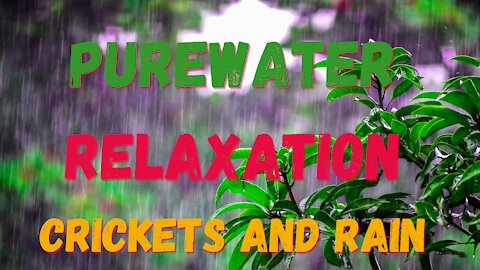 Calm, Relaxing, Focus Crickets & Rain | Perfect PureWater Relaxation!!