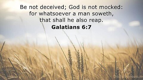 Galatians 6