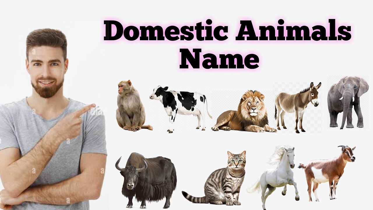 Domestic animal names