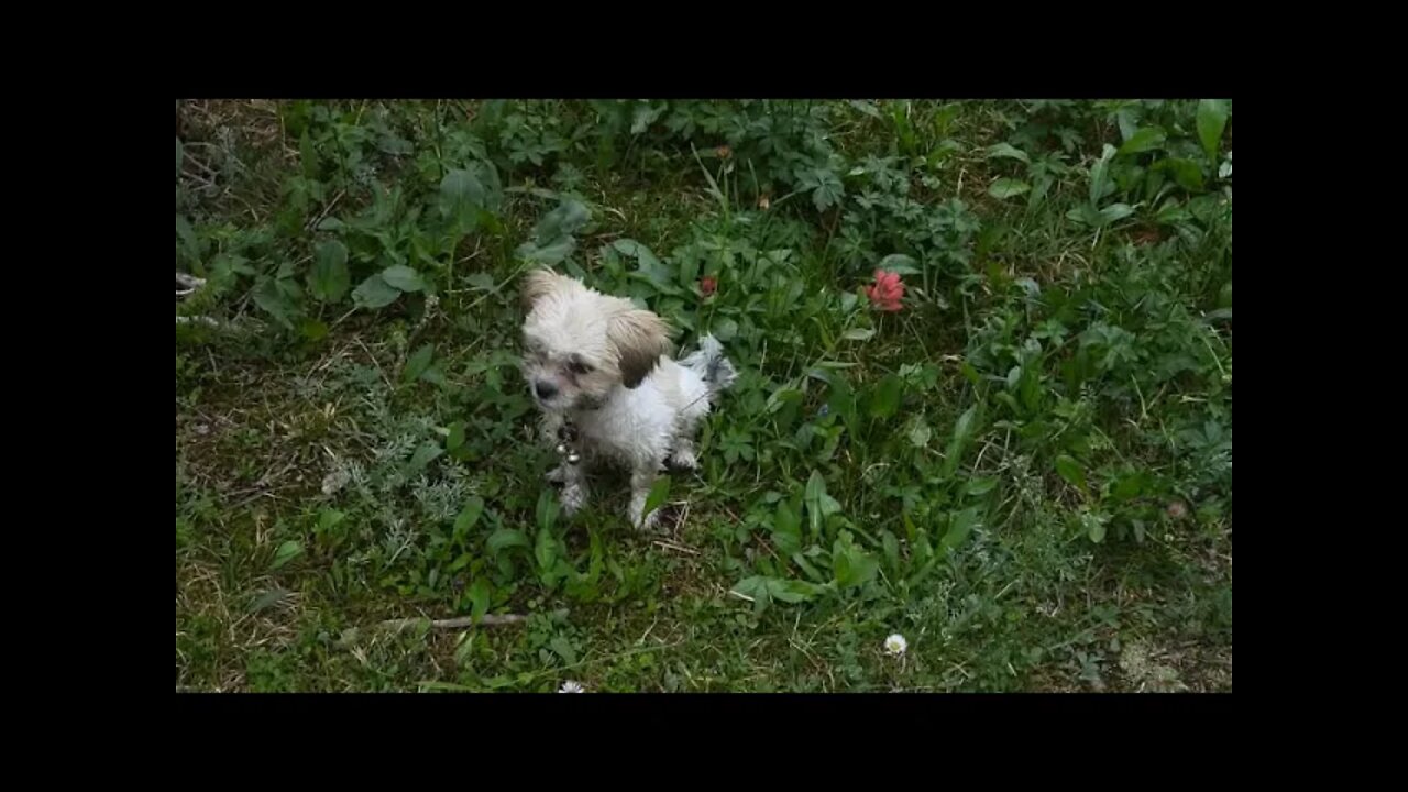 Climate Apocalypse Sunday