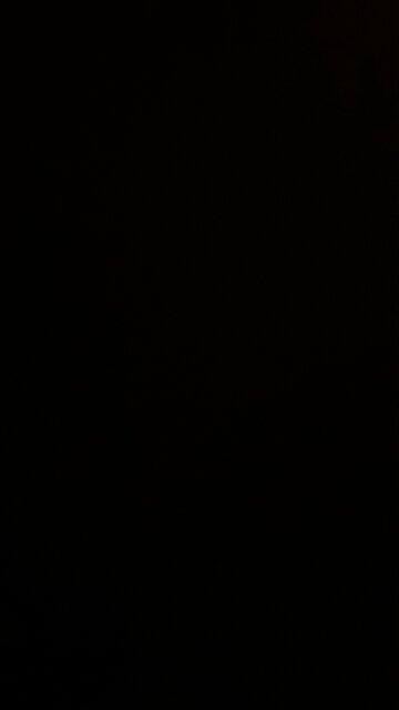 Philosophical wisdom