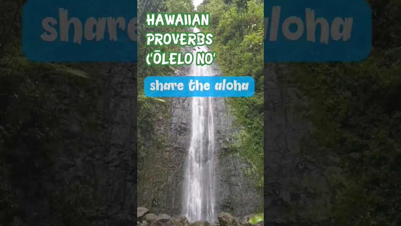 Hawaiian Proverbs for a Happy Life: Love all you see #youtubeshorts #facts #love #hawaii #life