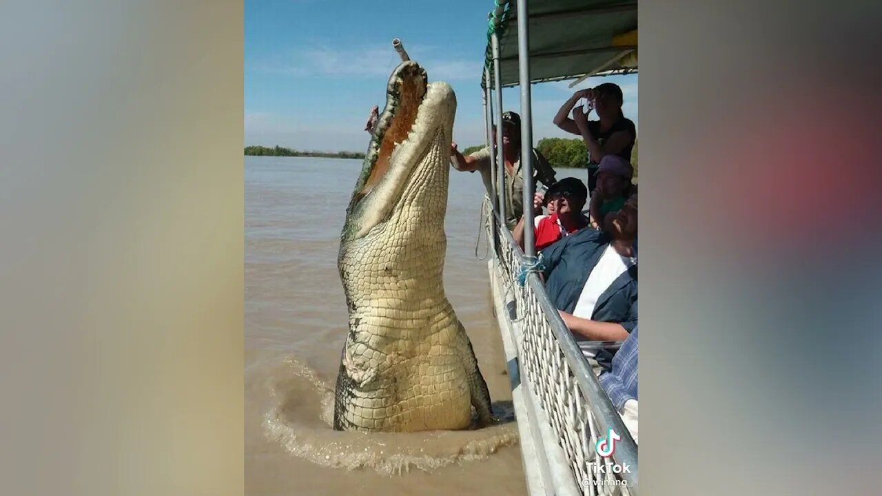 Daisy Daisy creepy TikTok trend PART 36