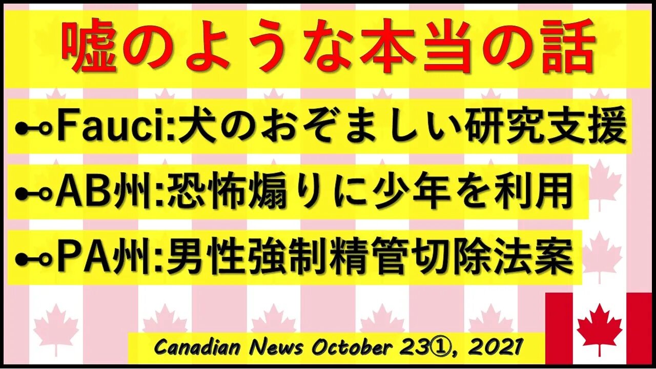 嘘のような本当の話 犬のおぞましい実験など