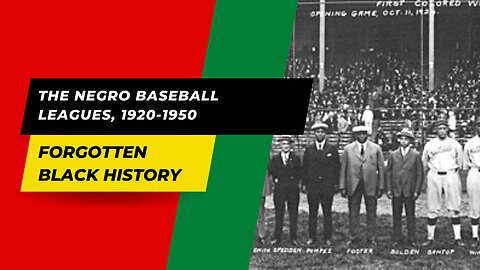 THE NEGRO BASEBALL LEAGUES, 1920-1950