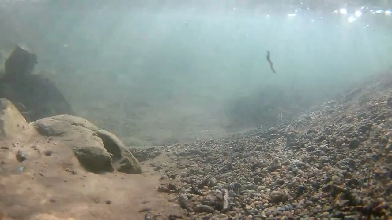 SU ALTI ÇEKİMİ (GO PRO)