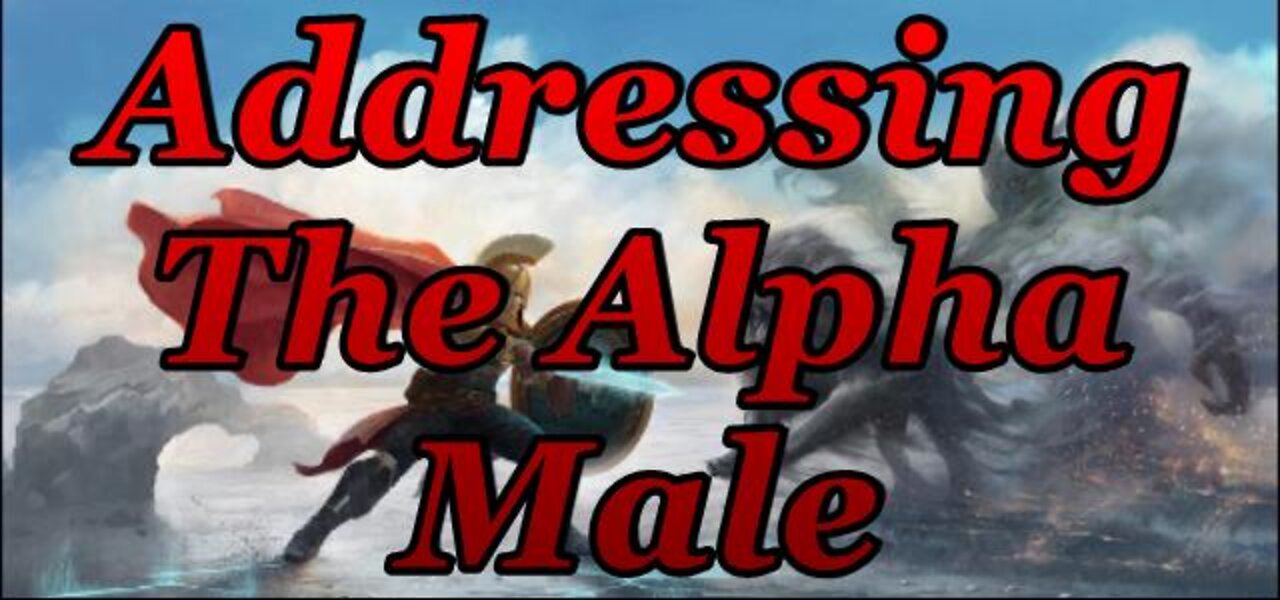 Addressing The Alpha Male