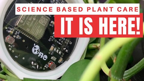 Plant Sensor Beta Launch 🚀 The Earth One Plant Sensor Has Arrived.