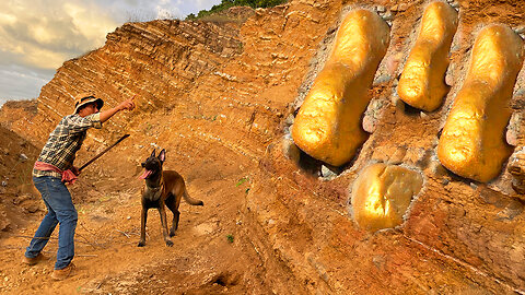 Amazing Looking for Treasure GOLD Under Stone By Smart Dog - Real Treasure finding in the World