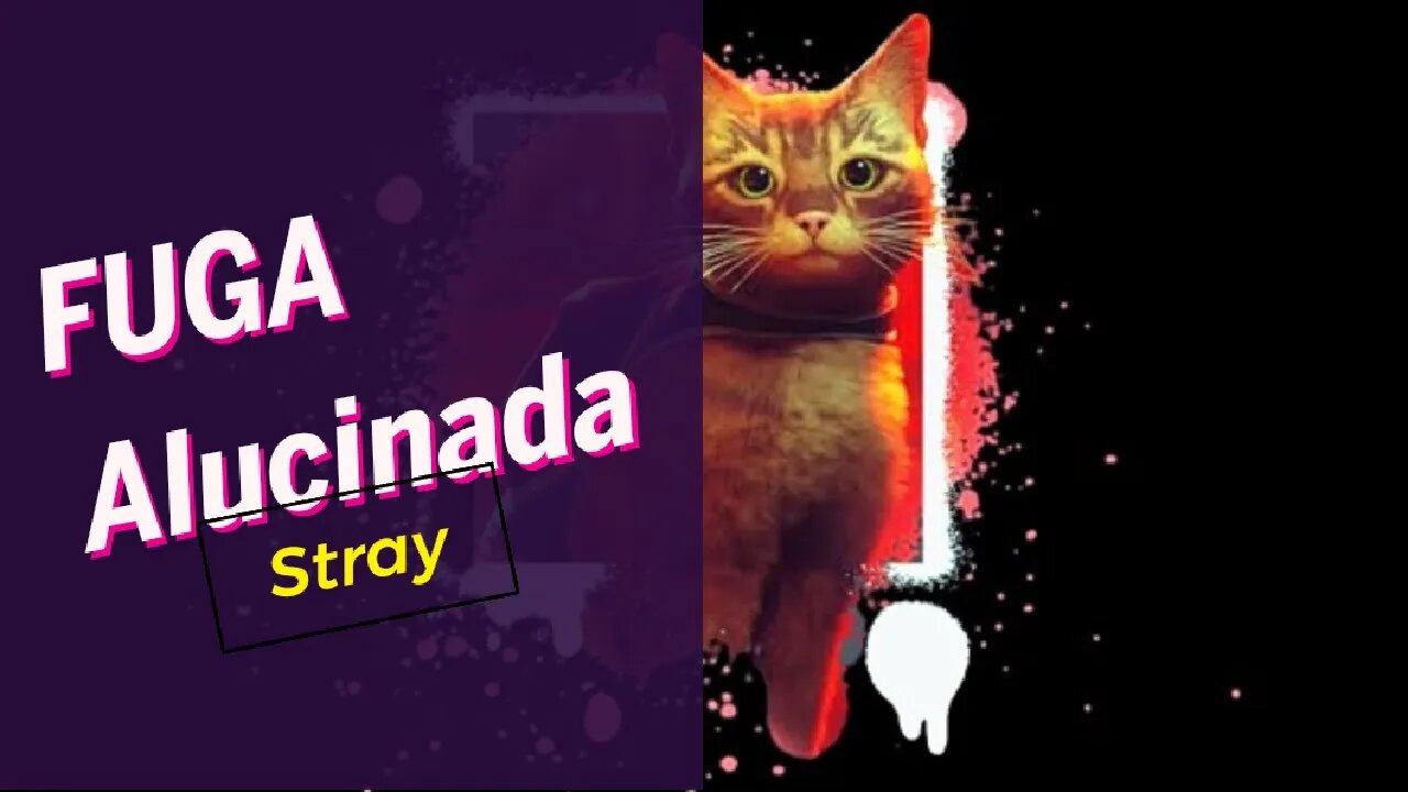 Stray | Fuga Alucinada