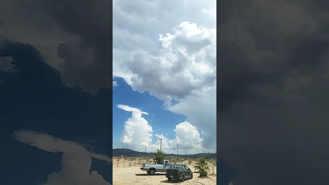 Twentynine Palms Rain