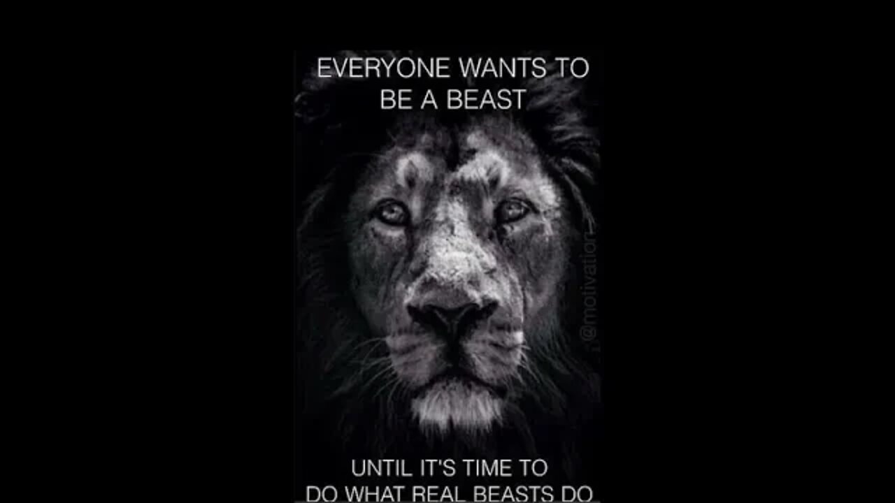 You attacked the wrong woman, and awakened the beast, so get ready for the painful repercussions