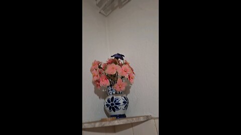 Vaso antigo e Flor