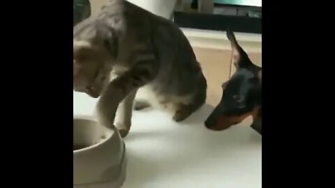 Here ya go buddy…you get all crazy with treats so I’m gonna go slow