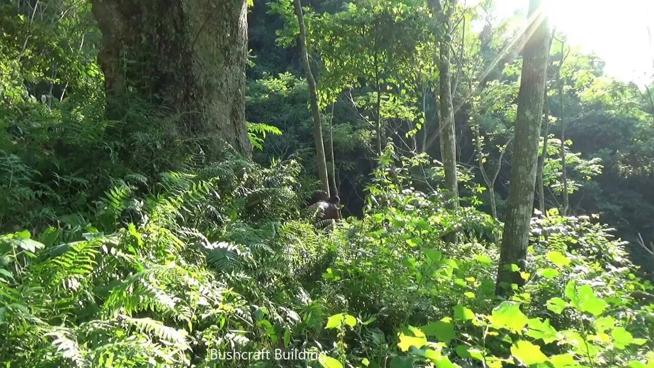 Build complete and warm survival shelter - bushwalk overnight in the wilderness)14
