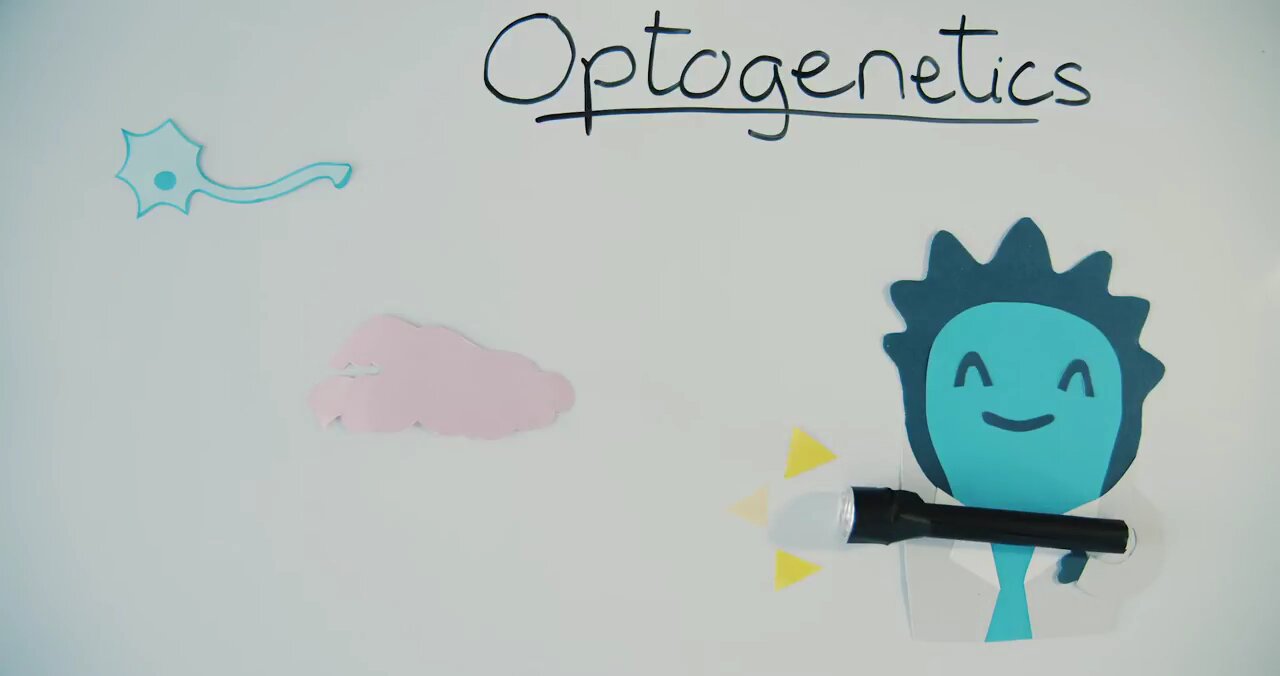 Optogenetics - Viral Vectors 101