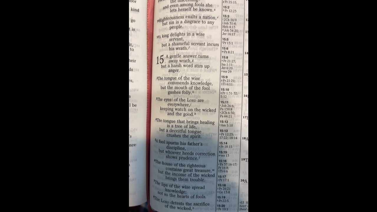 Proverbs 15–18