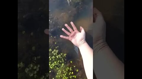 Artigas bajo cero