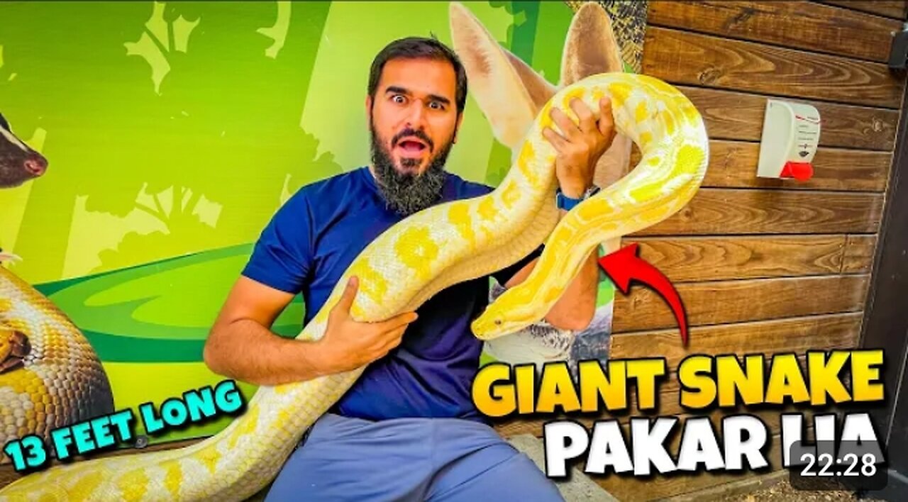 Snake 🐍 Ko Dekha