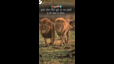 new insta viral reel