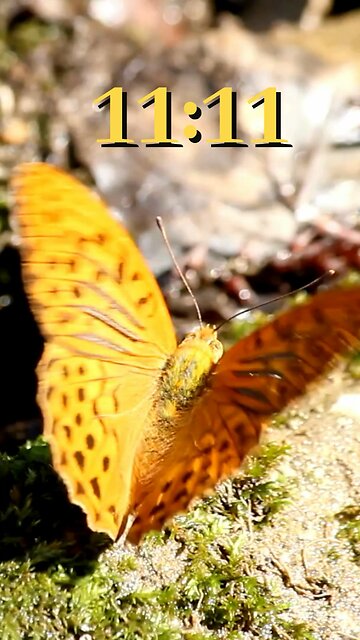 No Such Thing As a Coincidence