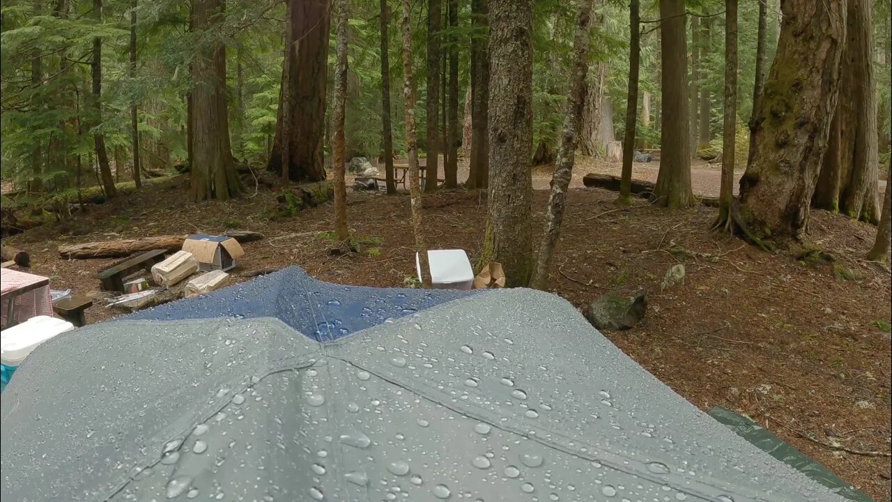 4K Raindrops 🏕💧 Mt. Rainier Forest (Trance)