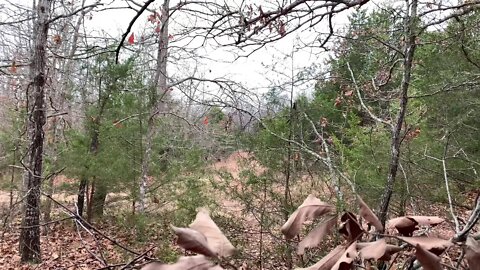 Deer season