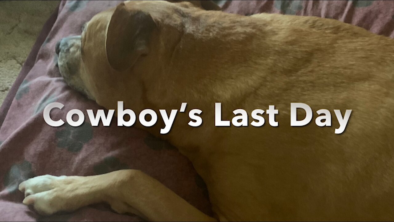 Cowboy's Last Day