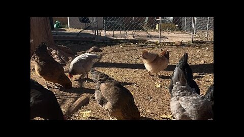 Una Voz… Sun pm 2022