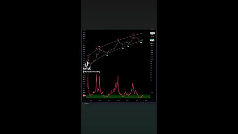 #Bitcoin 31k was not the peak🚨