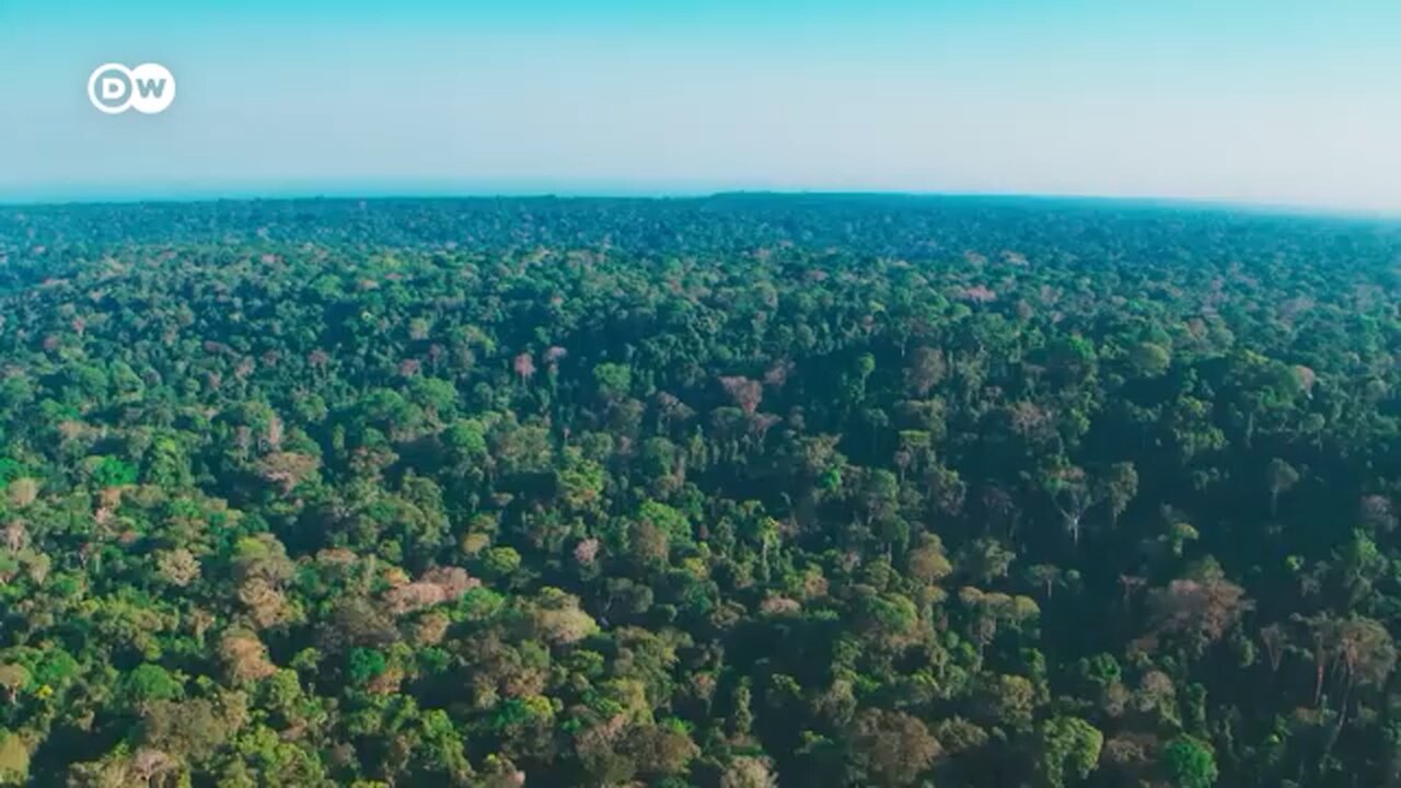 The waters of the Amazon | DW Documentary