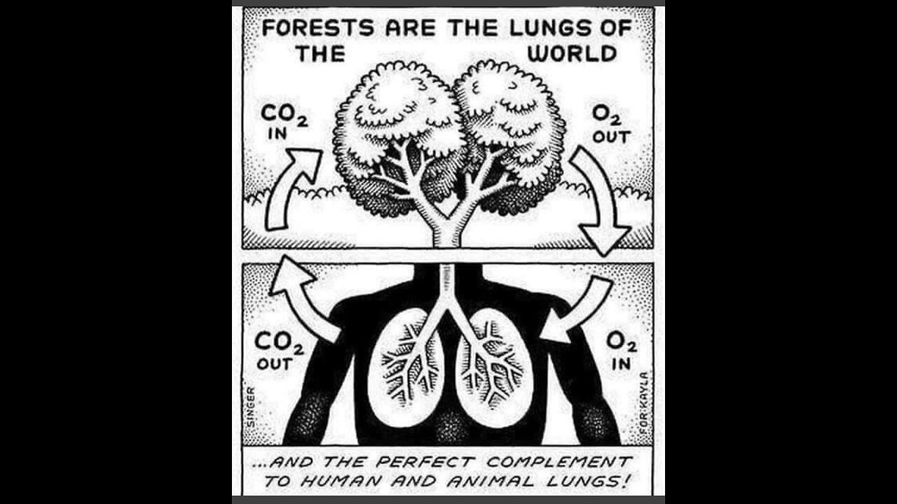 PCR inventor, Scientist & Nobel Laureate Dr. Kary Mullis exposes “climate change fraud”