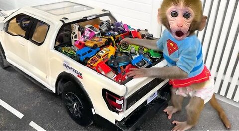 Monkey Baby Bon Bon drives a car and plays with puppy and duckling by the track