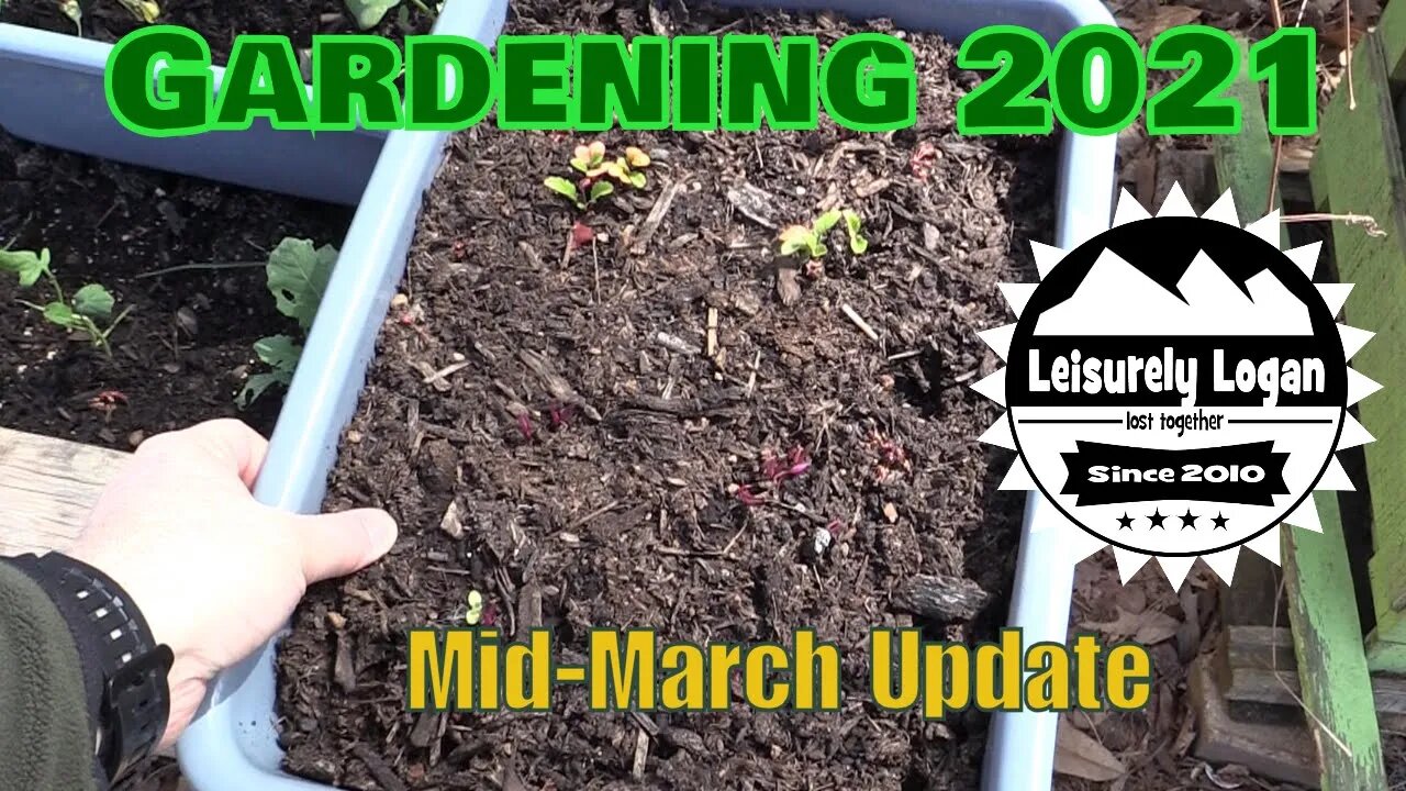 Garden 2021 - Mid-March Update