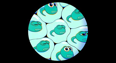WE FROG TOGETHER