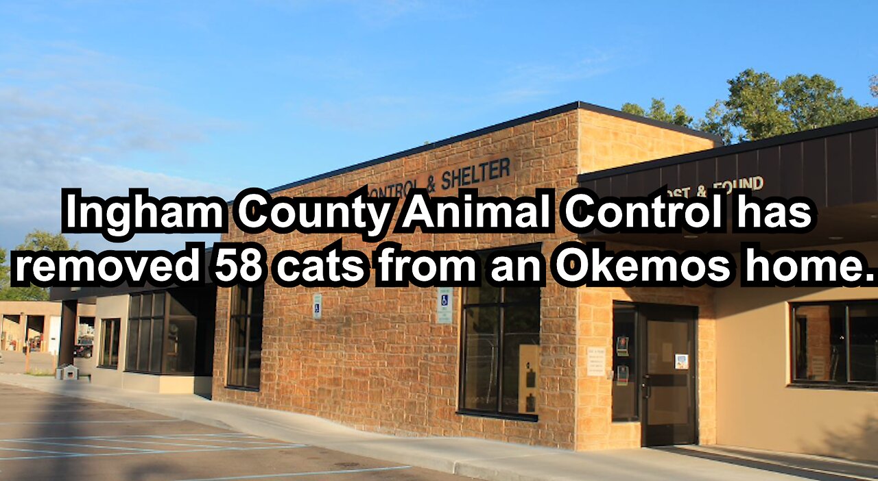 Ingham County Animal Control has removed 58 cats from an Okemos home.