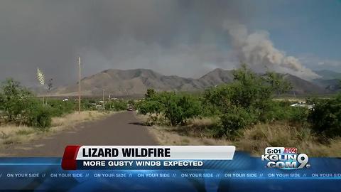 Lizard fire causing power to be temporarily disabled