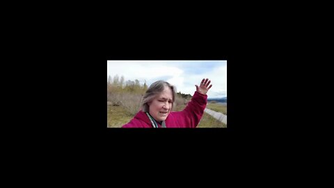 Remembrances On The Path: Setting a long term connection Through the Morph Genetic Field