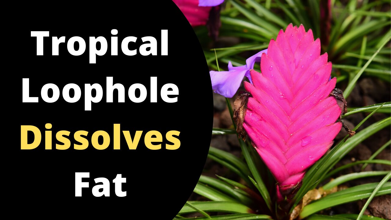 Tropical Loophole Turbo-charges metabolism and melts fat.