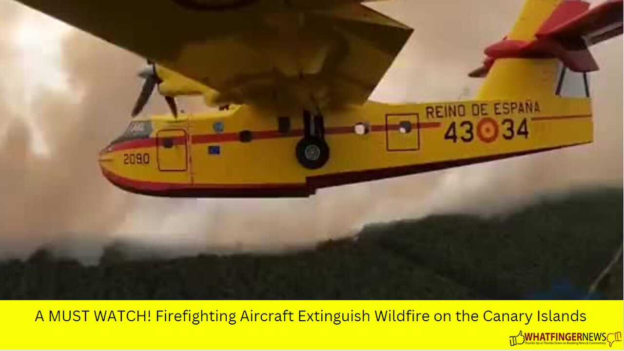 A MUST WATCH! Firefighting Aircraft Extinguish Wildfire on the Canary Islands