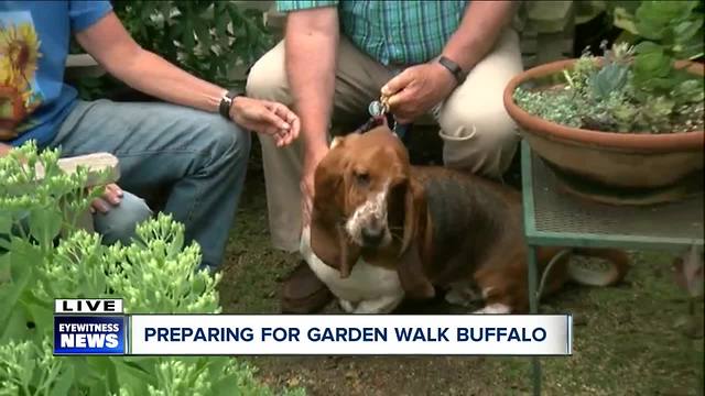 Garden Walk Buffalo working to beautify communities