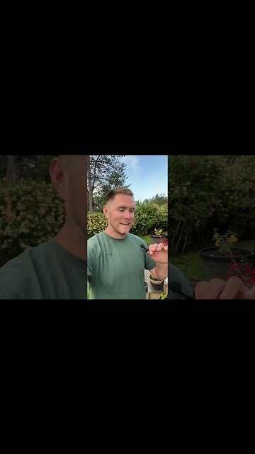 XRP Ready To Decouple! #xrp