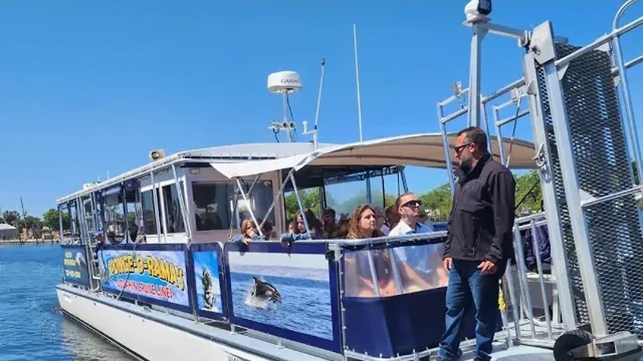 Boat Tour Tarpon Springs