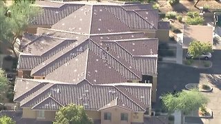 KNXV Chandler Child Found Dead in Mother's Apartment
