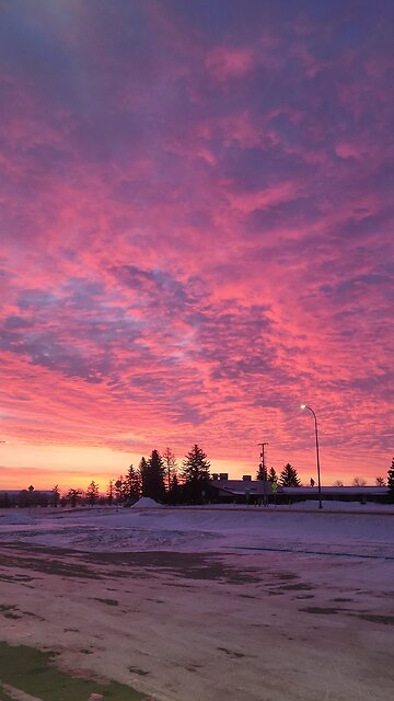 good morning from Mohall