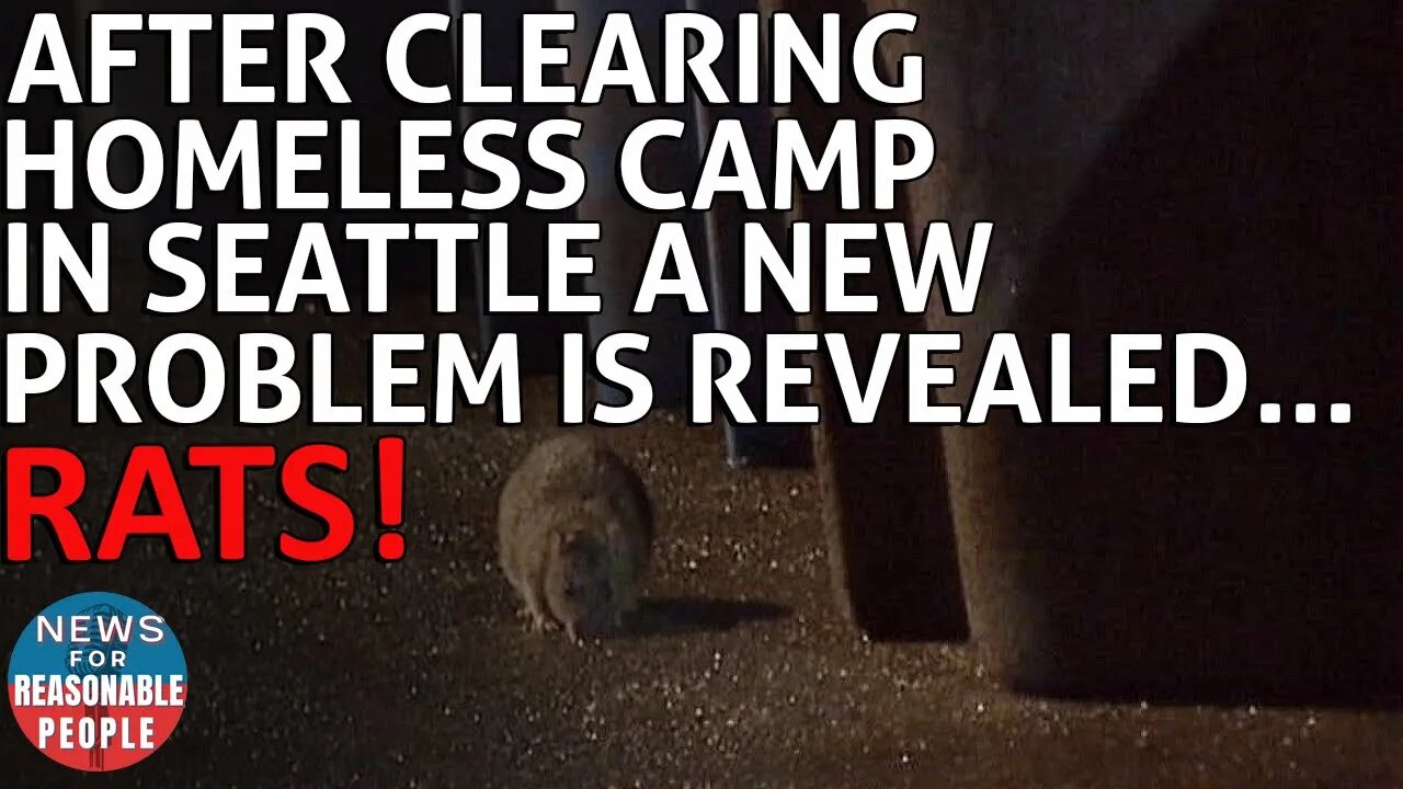 The Rat Problem Revealed After a Crime-Ridden Homeless Encampment Cleared