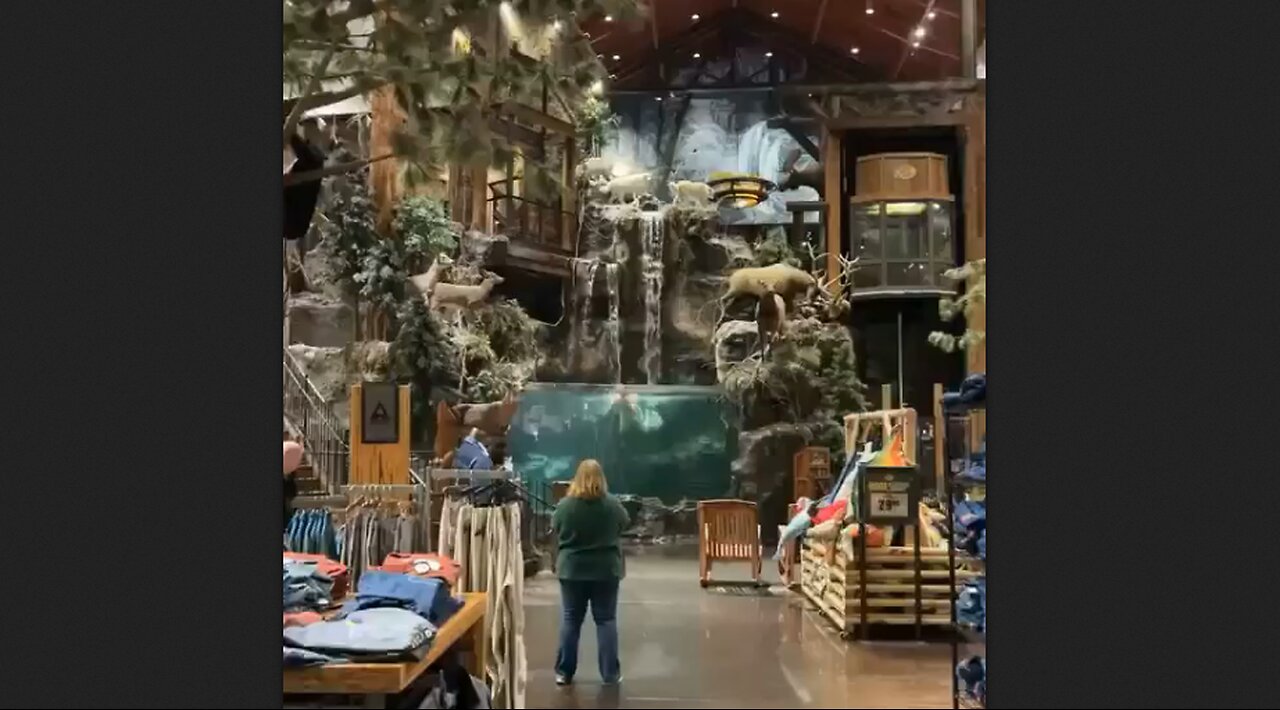 Alright, Come Get Me, I'm Ready! - Bass Pro Shop Birmingham, AL