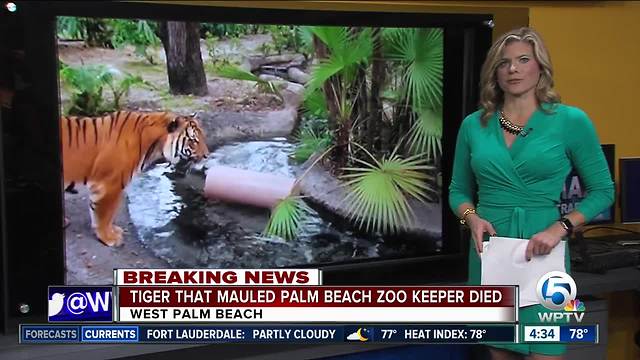 Tiger that killed Palm Beach Zoo keeper dies Thursday