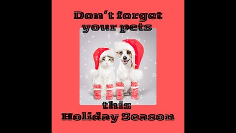 Holiday Gift Ideas for Pets